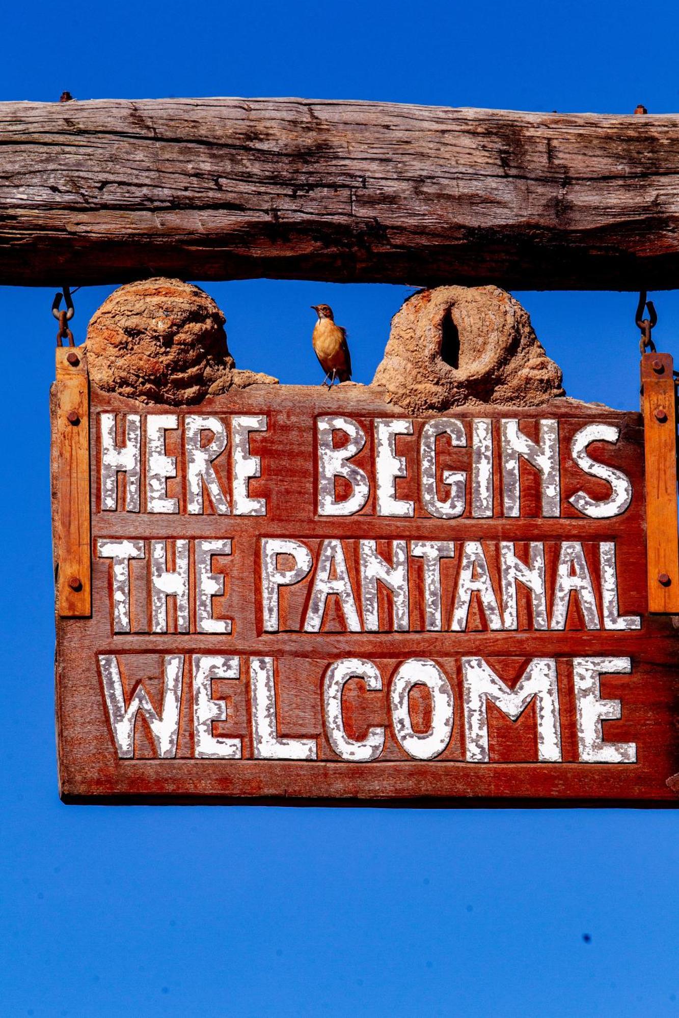 Hotel Pantanal Mato Grosso Poconé Extérieur photo